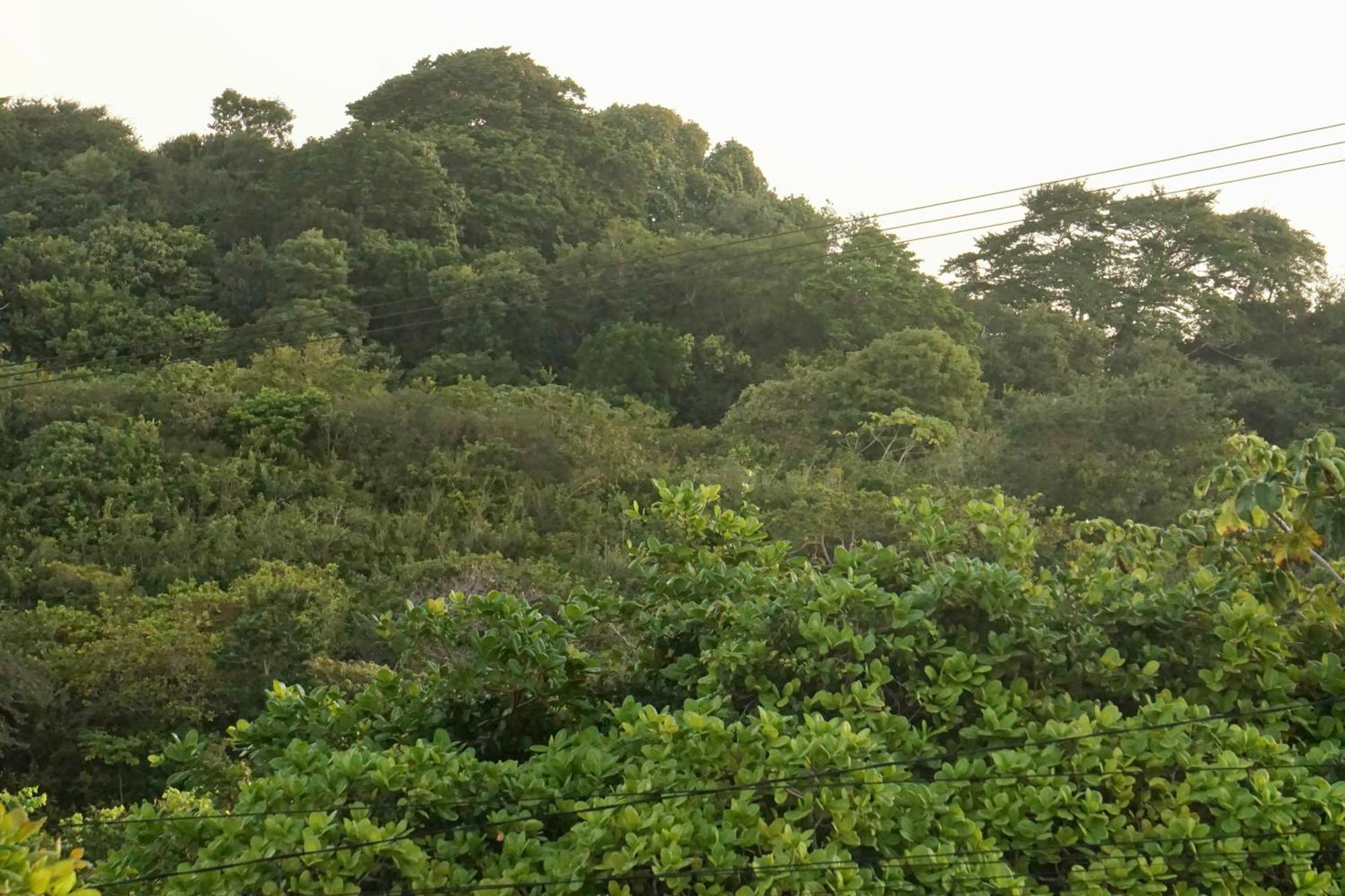 Chales Tucano Praia Da Pipa - Natureza, Conforto, Tranquilidade Praia de Pipa ภายนอก รูปภาพ